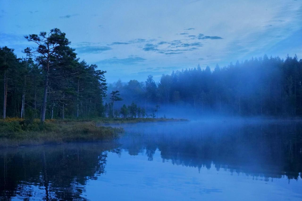 Nordic Refuge B&B Froskog ภายนอก รูปภาพ
